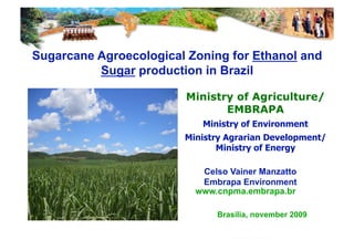 PDF) Brazil of Biofuels – sugarcane 2009. Impacts of crops on land,  environment and society