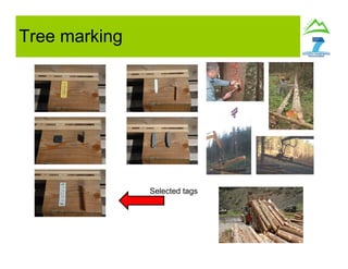 Tree marking
Selected tags
 