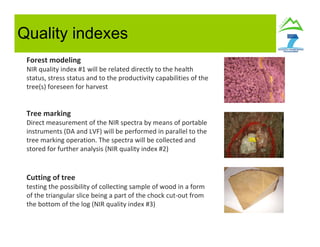 Quality indexes
Forest modeling
NIR quality index #1 will be related directly to the health
status, stress status and to the productivity capabilities of the
tree(s) foreseen for harvest
Tree marking
Direct measurement of the NIR spectra by means of portable
instruments (DA and LVF) will be performed in parallel to the
tree marking operation. The spectra will be collected and
stored for further analysis (NIR quality index #2)
Cutting of tree
testing the possibility of collecting sample of wood in a form
of the triangular slice being a part of the chock cut-out from
the bottom of the log (NIR quality index #3)
 