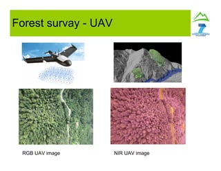 Forest survay - UAV
RGB UAV image NIR UAV image
 