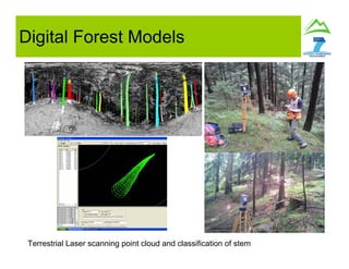 Digital Forest Models
Terrestrial Laser scanning point cloud and classification of stem
 