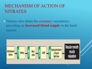 MECHANISM OF ACTION OF
NITRATES
Nitrates also dilate the coronary vasculature,
providing an increased blood supply to the heart
muscle.
 