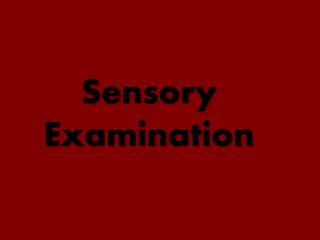 Sensory
Examination
 