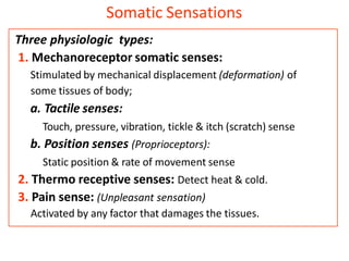 2nd year small group discussion Synapse and sensory receptors.pptx