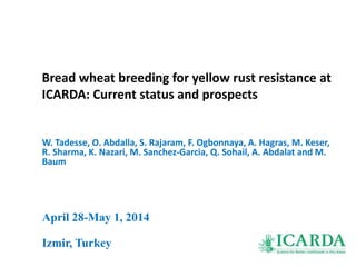 Bread wheat breeding for yellow rust resistance at
ICARDA: Current status and prospects
W. Tadesse, O. Abdalla, S. Rajaram, F. Ogbonnaya, A. Hagras, M. Keser,
R. Sharma, K. Nazari, M. Sanchez-Garcia, Q. Sohail, A. Abdalat and M.
Baum
April 28-May 1, 2014
Izmir, Turkey
 