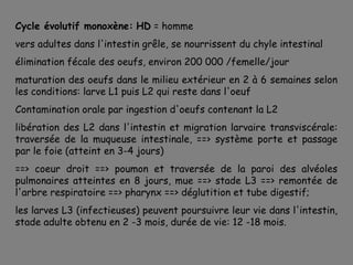 Cycle évolutif monoxène: HD = homme
vers adultes dans l'intestin grêle, se nourrissent du chyle intestinal
élimination fécale des oeufs, environ 200 000 /femelle/jour
maturation des oeufs dans le milieu extérieur en 2 à 6 semaines selon
les conditions: larve L1 puis L2 qui reste dans l'oeuf
Contamination orale par ingestion d'oeufs contenant la L2
libération des L2 dans l'intestin et migration larvaire transviscérale:
traversée de la muqueuse intestinale, ==> système porte et passage
par le foie (atteint en 3-4 jours)
==> coeur droit ==> poumon et traversée de la paroi des alvéoles
pulmonaires atteintes en 8 jours, mue ==> stade L3 ==> remontée de
l'arbre respiratoire ==> pharynx ==> déglutition et tube digestif;
les larves L3 (infectieuses) peuvent poursuivre leur vie dans l'intestin,
stade adulte obtenu en 2 -3 mois, durée de vie: 12 -18 mois.
 