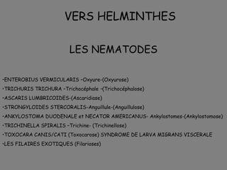 VERS HELMINTHES

                          LES NEMATODES

•ENTEROBIUS VERMICULARIS –Oxyure-(Oxyurose)
•TRICHURIS TRICHURA –Trichocéphale –(Trichocéphalose)
•ASCARIS LUMBRICOIDES-(Ascaridiase)
•STRONGYLOIDES STERCORALIS-Anguillule-(Anguillulose)
•ANKYLOSTOMA DUODENALE et NECATOR AMERICANUS- Ankylostomes-(Ankylostomose)
•TRICHINELLA SPIRALIS –Trichine- (Trichinellose)
•TOXOCARA CANIS/CATI (Toxocarose) SYNDROME DE LARVA MIGRANS VISCERALE
•LES FILAIRES EXOTIQUES (Filarioses)
 