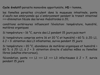 Cycle évolutif:parasite monoxène opportuniste, HD = homme,
les femelles parasites circulent dans la muqueuse intestinale, ponte
d'oeufs non embryonnés qui s'embryonnent pendant le transit intestinal
==> élimination fécale des larves rhabditoïdes à J0,
conditions extérieures influencent l’évolution: température, humidité,
matières organiques
Si température < 16 °C, survie des L1 pendant 15 jours puis mort
Si température comprise entre 16 et 20 °C et humidité > 60 %: à J0: L1,
à J + 3: obtention des L3 infestantes, survie pendant 15 jours
Si température > 20 °C, abondance de matières organiques et humidité >
60 %: à J0: L1, à J + 3: obtention directe d'adultes mâles ou femelles
libres (adultes stercoraux),
fécondation, ponte ==> L1 ==> L2 ==> L3 infectieuses à J + 7, survie
pendant 15 jours
 