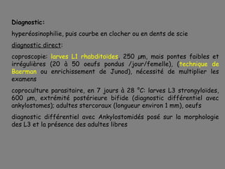 Diagnostic:
hyperéosinophilie, puis courbe en clocher ou en dents de scie
diagnostic direct:
coproscopie: larves L1 rhabditoïdes, 250 µm, mais pontes faibles et
irrégulières (20 à 50 oeufs pondus /jour/femelle), (technique de
Baerman ou enrichissement de Junod), nécessité de multiplier les
examens
coproculture parasitaire, en 7 jours à 28 °C: larves L3 strongyloïdes,
600 µm, extrémité postérieure bifide (diagnostic différentiel avec
ankylostomes); adultes stercoraux (longueur environ 1 mm), oeufs
diagnostic différentiel avec Ankylostomidés posé sur la morphologie
des L3 et la présence des adultes libres
 