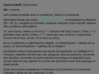 Cycle évolutif: Cycle direct
HD = homme
vers adultes localisés dans le duodénum, fixés à la muqueuse
élimination fécale des oeufs, maturation des oeufs si température suffisante
(25 - 30 °C), oxygène et humidité; cinétique indiquée à titre indicatif, dépend
des conditions particulières
J0: oeuf pondu, selles sur le sol,J + 1: éclosion de l'œuf, larve L1 libre,J + 3:
première mue, larve L2 libre, J + 7: seconde mue, la larve L3 reste dans
l'exuvie de la mue, survie 1 à 2 mois (ou plus).
larve L3 présente un géotropisme négatif, un histotropisme + (attirée par la
peau), un thermotropisme + (attirée par la chaleur)
pénétration active transcutanée des larves strongyloïdes L3 (réalisée en 5
minutes), migration larvaire par voie sanguine vers les poumons, traversée
des alvéoles, remontée de l'arbre trachéo-bronchique et déglutition,puis
arrivée dans le tube digestif où ont lieu les dernières mues et le passage au
stade adulte
durée de la phase prépatente: 6 semaines (Ancylostoma) à 8 semaines
(Necator), durée de vie: maximum: 5 ans
 