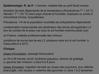 Epidémiologie: R. de P. = homme, maladie liée au péril fécal humain
évolution larvaire dépendante de la température (Ancylostoma T° > 22 °C,
Necator: T° > 25 °C) donc pays chauds et humides, tropiques ou zones à
microclimat (mines, briquetteries)
Prévalence: 1/4 de la population mondiale est ankylostome dépendante
contamination transcutanée par pénétration des larves strongyloïdes L3
lors de contact de la peau nue avec le sol humide (marche pieds nus)
en France: maladie professionnelle des mineurs
conditions de survie des larves L3: plusieurs mois sur le sol humide, à
l'obscurité et à 20°C.
Clinique:
phase d'incubation: passage transcutané
en 24 à 48 heures: prurit, érythème papuleux, lésions de grattage
(« gourme des mineurs ») dure 6 à 8 jours
phase d'invasion: migration larvaire au niveau des poumons, toux afébrile,
pharyngite, voix rauque (« catarrhe des gourmes »), dure 1 à 2 semaines
 