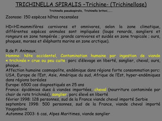TRICHINELLA SPIRALIS –Trichine- (Trichinellose)
                       Trichinella pseudospiralis, Trichinella britovi,…..

Zoonose: 150 espèces hôtes recensées

HD=HI:mammifères carnivores et omnivores, selon la zone climatique,
différentes espèces animales sont impliquées (loups renards, sangliers et
rongeurs en zone tempérée ; grands carnivores et suidés en zone tropicale ; ours,
phoques, morses et éléphants marins en zone arctique).

R.de P: Animaux.
Homme: hôte accidentel, Contamination humaine par ingestion de viande
« trichinée » crue ou peu cuite: porc d’élevage en liberté, sanglier, cheval, ours,
phoque…
Affection humaine cosmopolite, endémique dans régions forte consommation porc:
USA, Europe de l’Est, Asie, Amérique du sud, Afrique de l’Est, hyper-endémiques
dans régions boréales
Europe: 6500 cas diagnostiqués en 25 ans
France: épidémies dues à viandes importées, cheval (nourriture contaminée par
chair de rats trichinés), sanglier, porc élevé en liberté
février 1998: 128 personnes, sud de la France viande cheval importé Serbie
septembre 1998: 500 personnes, sud de la France, viande cheval importé
Yougoslavie
Automme 2003: 6 cas, Alpes Maritimes, viande sanglier
 