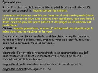 Épidémiologie:
R. de P. = chien ou chat, maladie liée au péril fécal animal (stade L2),
parasitose cosmopolite, touche surtout les enfants.
contamination humaine possible par ingestion d'oeufs embryonnés(stade
L2 ), par contact et jeux avec chien ou chat, géophagie, jeux dans bacs à
sable, aires de jeux des parcs publics et des plages où les animaux ont
pu déféquer
Clinique:impasse parasitaire, la larve L2 entreprend une migration qui la
mène dans tous les viscères et les yeux
Signes généraux: fièvre modérée, asthénie, hépatomégalie, anorexie,
retard pondéral, oedème, toux, dyspnée, troubles digestifs, troubles
oculaires unilatéraux, troubles nerveux,…
Diagnostic:
diagnostic d'orientation: hyperéosinophilie et augmentation des IgE,
importante chez un sujet à risque(enfants, éleveurs de chiens,…)
n'ayant pas quitté la métropole
diagnostic direct:impossible, pas d'extériorisation du parasite
diagnostic indirect:sérologie en ELISA
 
