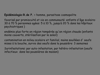 Epidémiologie:R.de P. = homme, parasitose cosmopolite
favorisé par promiscuité et vie en communauté: enfants d'âge scolaire:
30 à 70 % personnes agées: 5 à 10 %, jusqu’à 20 % dans les hôpitaux
psychiatriques )
endémie plus forte en région tempérée qu'en région chaude (enfants
moins couverts, stérilisation par le soleil)
contamination en milieu scolaire et familial, mains souillées d' oeufs
mises à la bouche, survie des oeufs dans la poussière: 3 semaines
Surinfestations: par auto-infestation, par hétéro-infestation (oeufs
infectieux dans les poussières de maison)
 