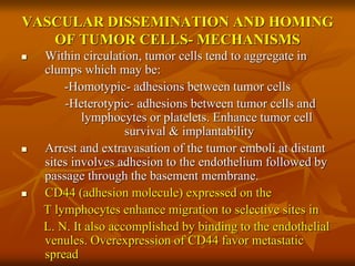 VASCULAR DISSEMINATION AND HOMING
OF TUMOR CELLS- MECHANISMS
 Within circulation, tumor cells tend to aggregate in
clumps which may be:
-Homotypic- adhesions between tumor cells
-Heterotypic- adhesions between tumor cells and
lymphocytes or platelets. Enhance tumor cell
survival & implantability
 Arrest and extravasation of the tumor emboli at distant
sites involves adhesion to the endothelium followed by
passage through the basement membrane.
 CD44 (adhesion molecule) expressed on the
T lymphocytes enhance migration to selective sites in
L. N. It also accomplished by binding to the endothelial
venules. Overexpression of CD44 favor metastatic
spread
 