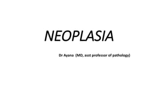 NEOPLASIA
Dr Ayana (MD, asst professor of pathology)
 