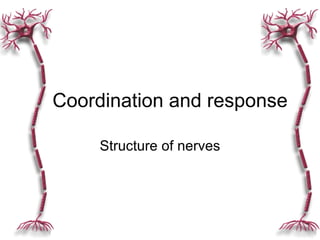 Structure of nerves Coordination and response 