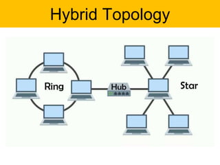 Hybrid Topology
 