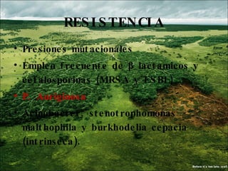 RESISTENCIA Presiones mutacionales Empleo frecuente de  β  lactamicos y cefalosporinas (MRSA y ESBL) P. Auriginosa Acinobacter, stenotrophomonas malthophila y burkhodelia cepacia (intrinseca). 