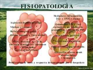 FISIOPATOLOGÌA Proliferación de moos y respuesta desencadenada por el hospedero Aspiración desde orofaringe Vibrisas y cornetes Células mucosas y flora normal. Reflejo nauseoso y tos . Mediadores inflamatorios  (IL1 y TNF) = Fiebre Quimiocinas IL8 y fact estimulante de colonias de granulocitos = liberación PMN Leucocitosis periférica = Secreciones purulentas. Fuga alveolocapilar localizada. Eritrocitos cruzan memb alveolocapilar = hemoptosis MQS, Proteínas A y D de sustancia tensioactiva (opsonizan y propiedades antiviral/bacteriana). 