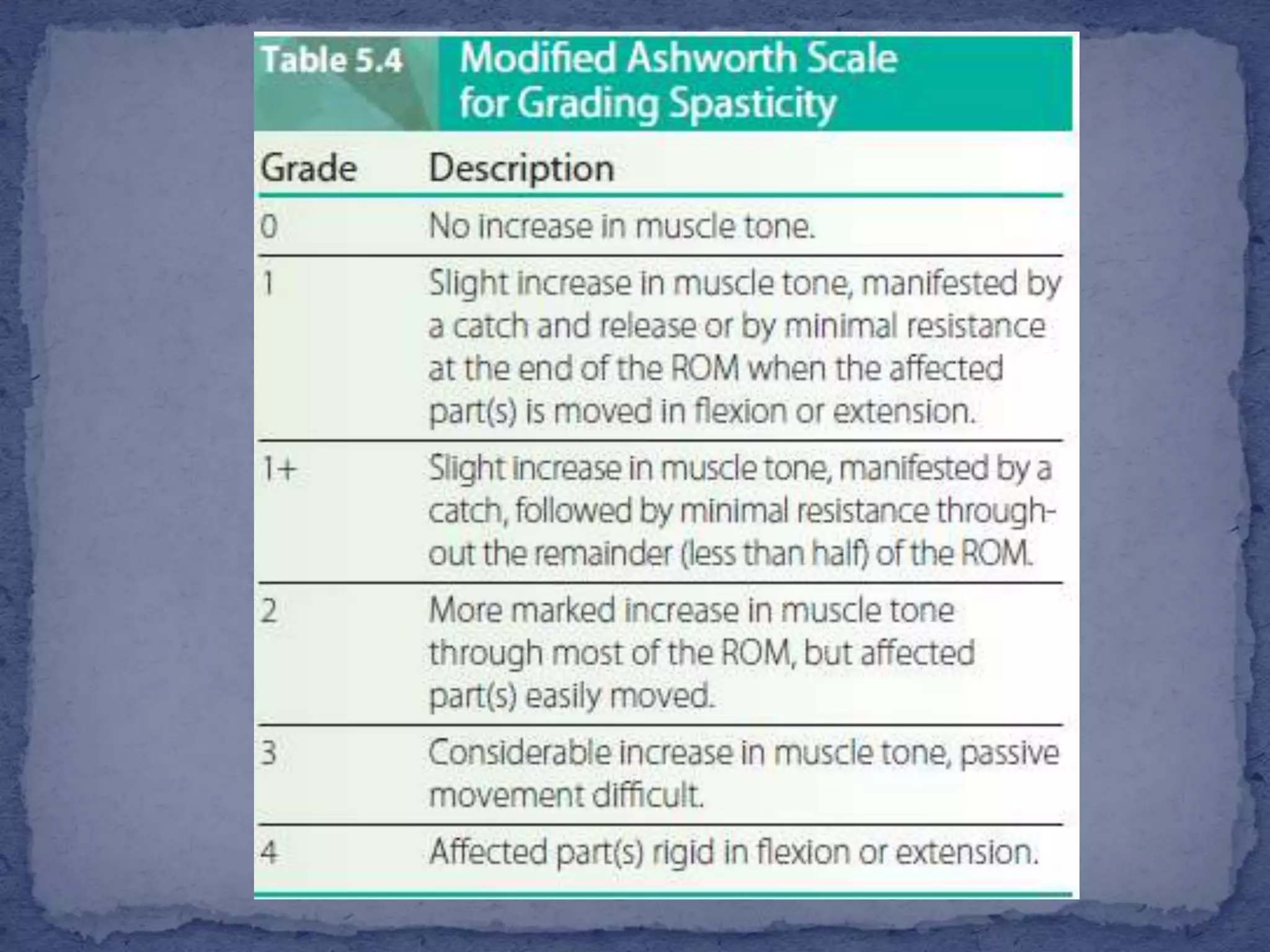 Muscle tone and Deep tendon reflex assessment | PPTX