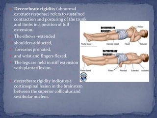 Muscle tone and Deep tendon reflex assessment | PPTX