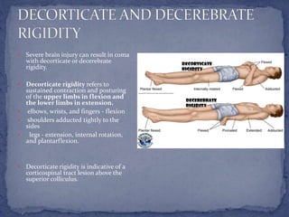 Muscle tone and Deep tendon reflex assessment | PPTX