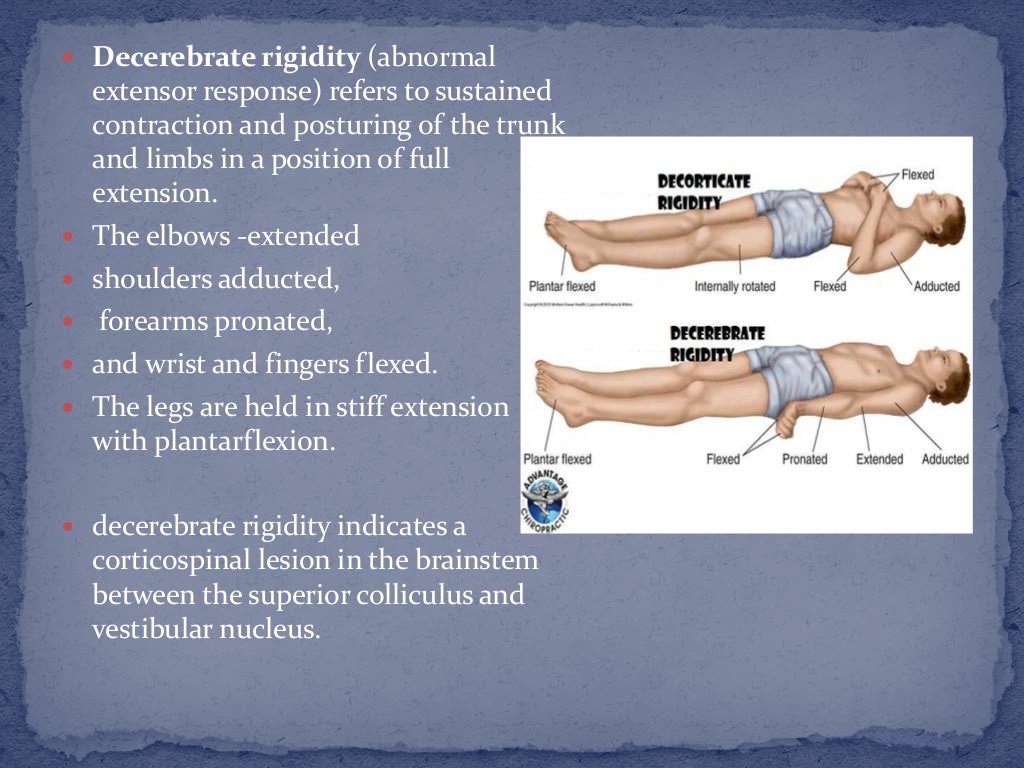 Muscle tone and Deep tendon reflex assessment