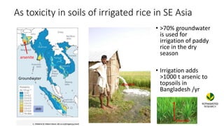Soil pollution on agricultural fields and other land uses | PPT