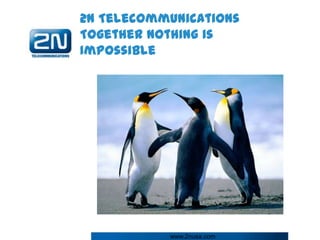 2N Telecommunications
Together Nothing is
Impossible




           www.2nusa.com
 