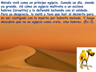 Moisés vivió como un príncipe egipcio. Cunado un día, siendo
ya grande, vió cómo un egipcio maltrata a un esclavo
hebreo (israelita) y lo defendió luchando con el soldado.
Para su desgracia, lo mató y tuvo que huir al desierto para
no ser castigado con la muerte por haberlo matado. Y luego
descubre que no es egipcio como creía, sino hebreo. (Éx 2)
 