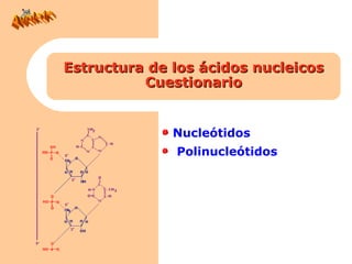 Estructura de los ácidos nucleicos
          Cuestionario


              Nucleótidos
              Polinucleótidos
 