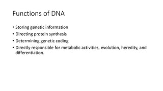 Functions of DNA
• Storing genetic information
• Directing protein synthesis
• Determining genetic coding
• Directly responsible for metabolic activities, evolution, heredity, and
differentiation.
 