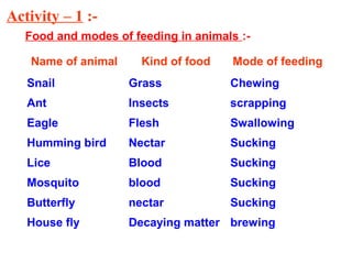 Nutrition in Animal