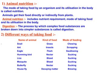 Nutrition in Animal
