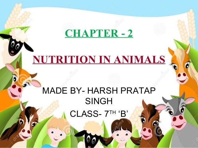 nutrition in animals