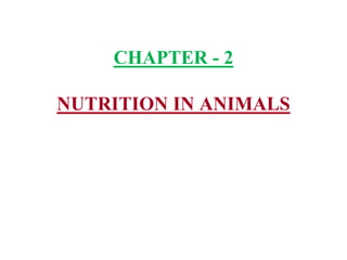 CHAPTER - 2
NUTRITION IN ANIMALS
 