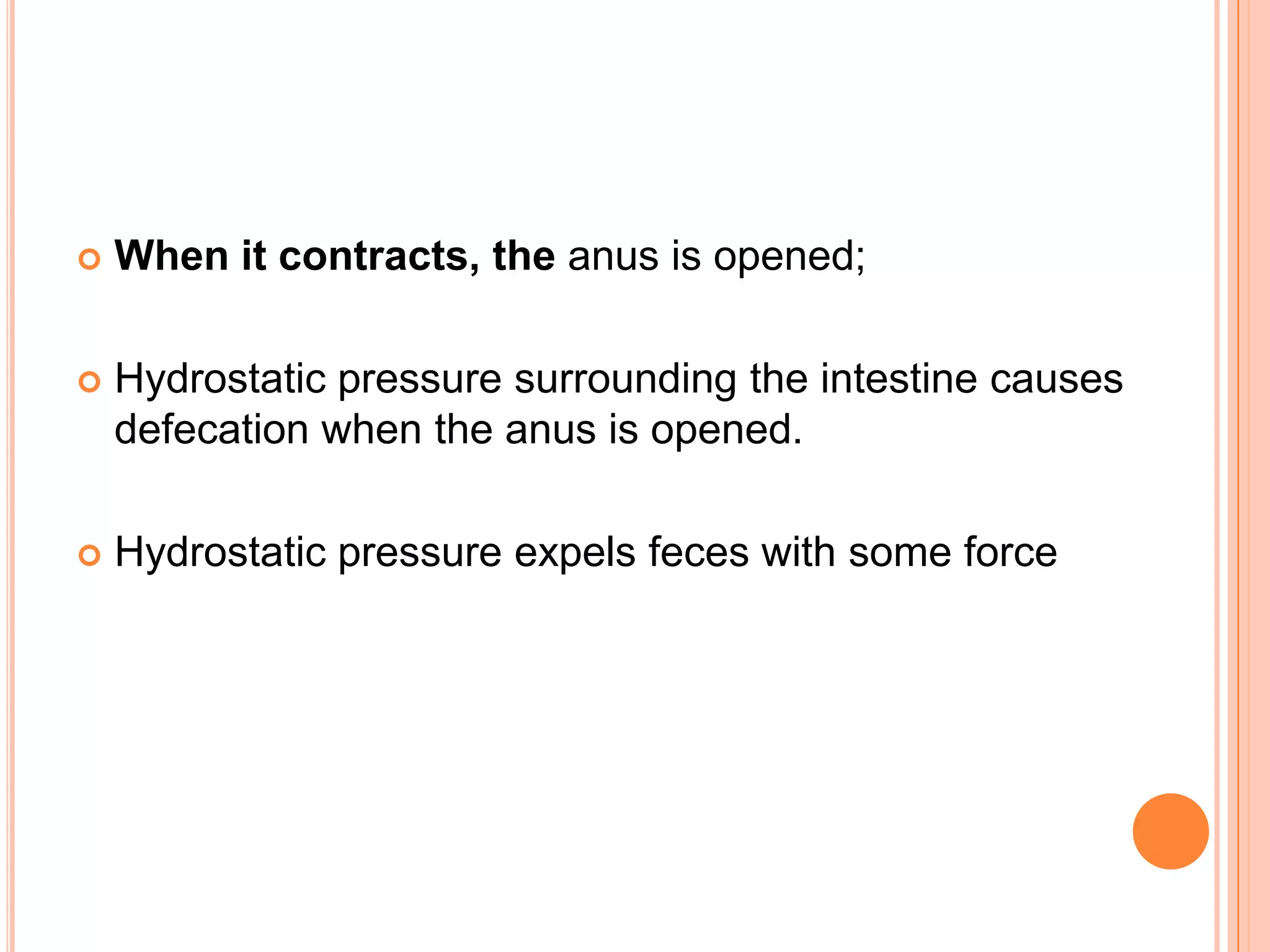    When it contracts, the anus is opened;

   Hydrostatic pressure surrounding the intestine causes
    defecation when the anus is opened.

   Hydrostatic pressure expels feces with some force
 