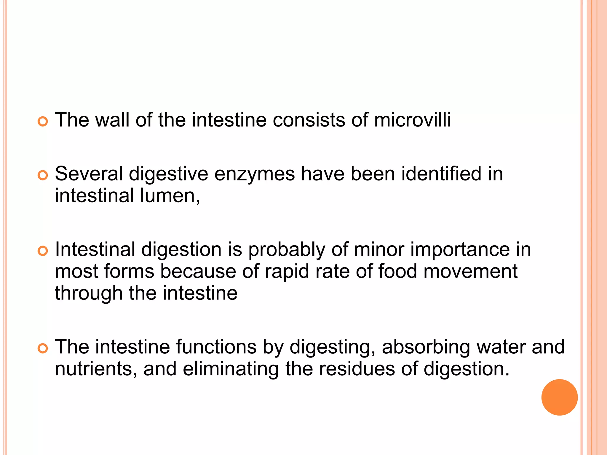   The wall of the intestine consists of microvilli

   Several digestive enzymes have been identified in
    intestinal lumen,

   Intestinal digestion is probably of minor importance in
    most forms because of rapid rate of food movement
    through the intestine

   The intestine functions by digesting, absorbing water and
    nutrients, and eliminating the residues of digestion.
 