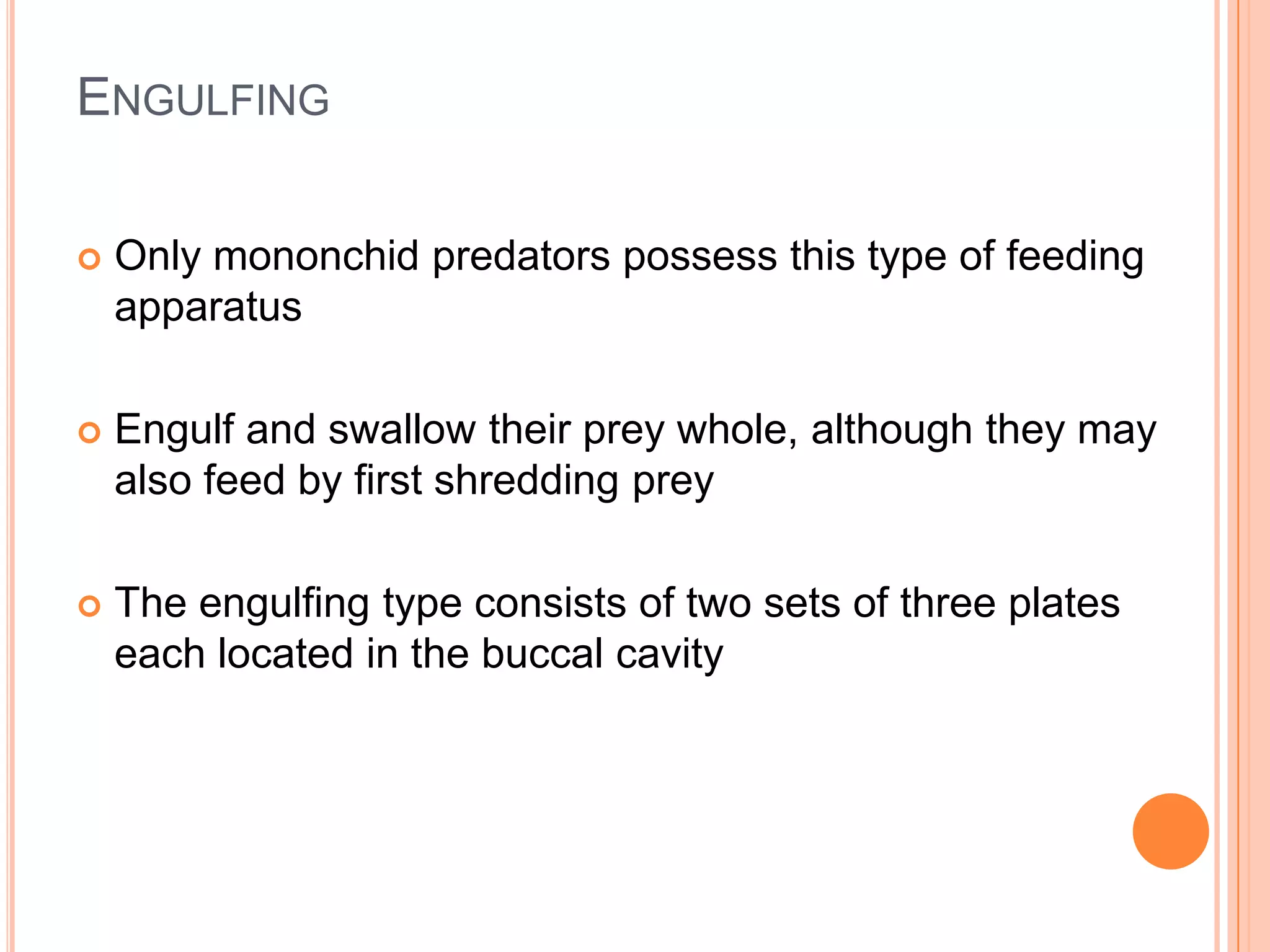 ENGULFING

   Only mononchid predators possess this type of feeding
    apparatus

   Engulf and swallow their prey whole, although they may
    also feed by first shredding prey

   The engulfing type consists of two sets of three plates
    each located in the buccal cavity
 