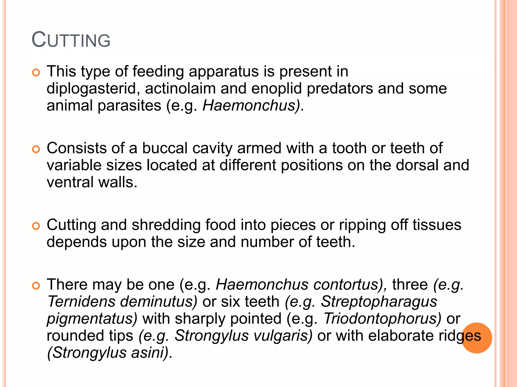 CUTTING
   This type of feeding apparatus is present in
    diplogasterid, actinolaim and enoplid predators and some
    animal parasites (e.g. Haemonchus).

   Consists of a buccal cavity armed with a tooth or teeth of
    variable sizes located at different positions on the dorsal and
    ventral walls.

   Cutting and shredding food into pieces or ripping off tissues
    depends upon the size and number of teeth.

   There may be one (e.g. Haemonchus contortus), three (e.g.
    Ternidens deminutus) or six teeth (e.g. Streptopharagus
    pigmentatus) with sharply pointed (e.g. Triodontophorus) or
    rounded tips (e.g. Strongylus vulgaris) or with elaborate ridges
    (Strongylus asini).
 