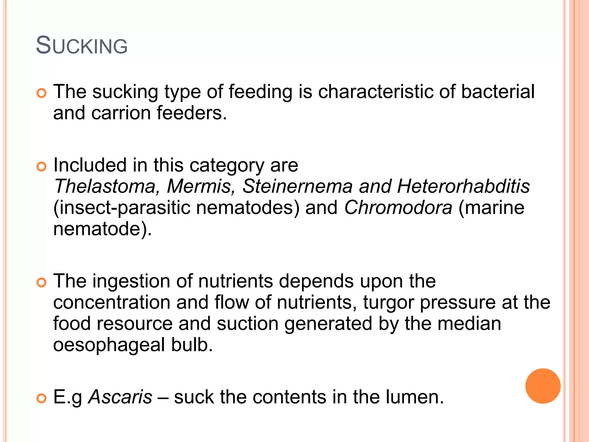 SUCKING
   The sucking type of feeding is characteristic of bacterial
    and carrion feeders.

   Included in this category are
    Thelastoma, Mermis, Steinernema and Heterorhabditis
    (insect-parasitic nematodes) and Chromodora (marine
    nematode).

   The ingestion of nutrients depends upon the
    concentration and flow of nutrients, turgor pressure at the
    food resource and suction generated by the median
    oesophageal bulb.

   E.g Ascaris – suck the contents in the lumen.
 