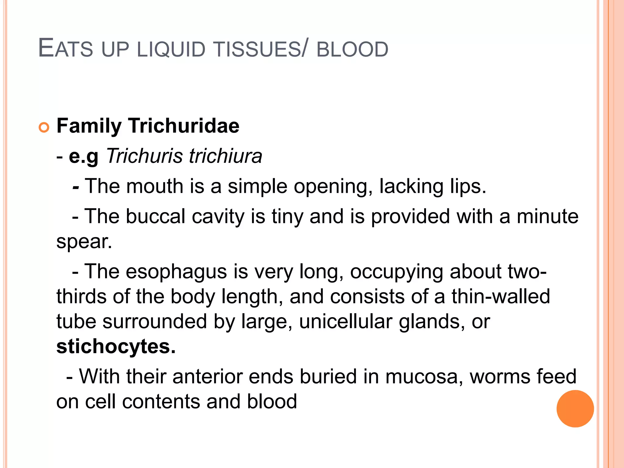 EATS UP LIQUID TISSUES/ BLOOD

   Family Trichuridae
    - e.g Trichuris trichiura
       - The mouth is a simple opening, lacking lips.
       - The buccal cavity is tiny and is provided with a minute
    spear.
       - The esophagus is very long, occupying about two-
    thirds of the body length, and consists of a thin-walled
    tube surrounded by large, unicellular glands, or
    stichocytes.
      - With their anterior ends buried in mucosa, worms feed
    on cell contents and blood
 