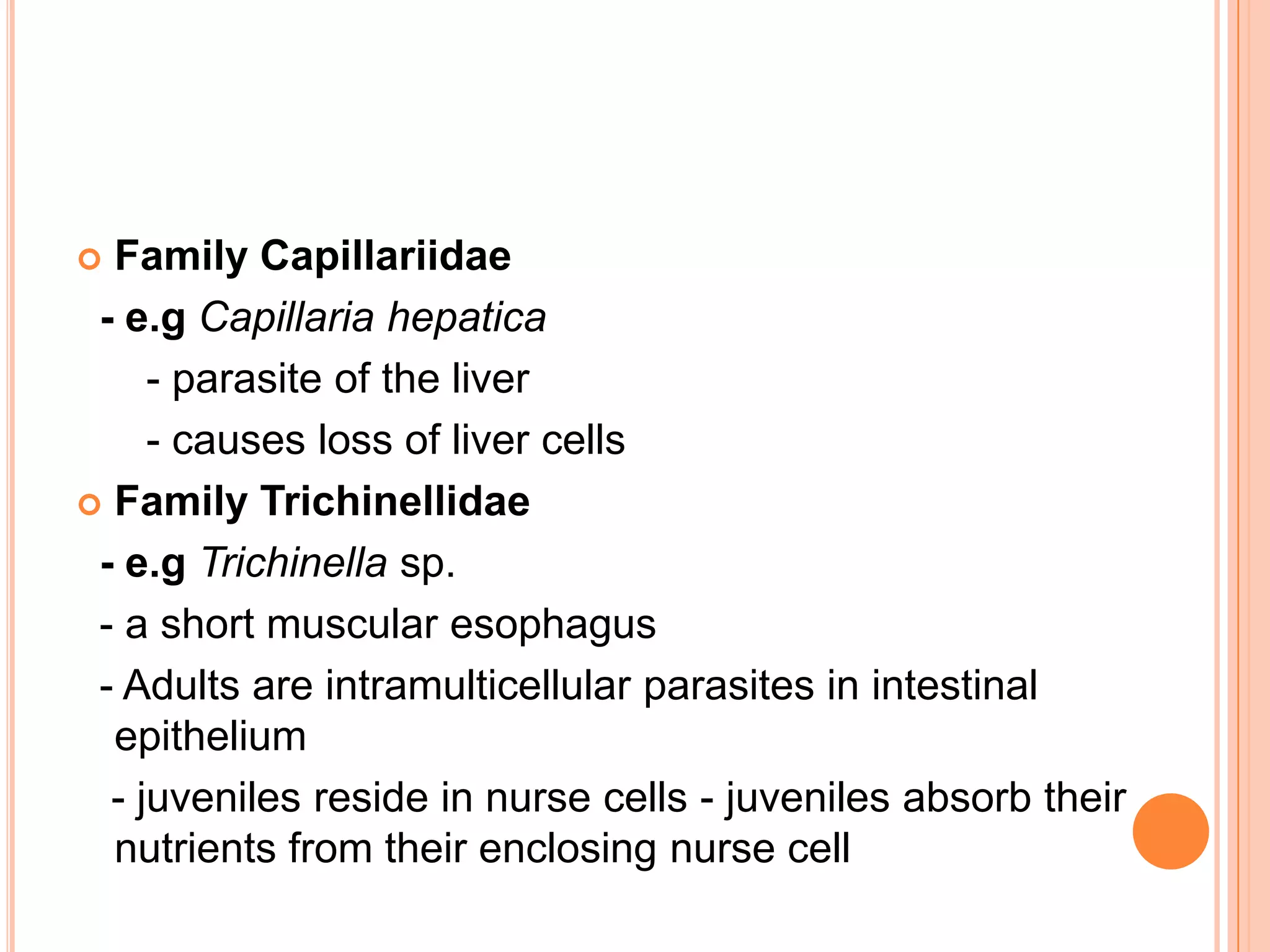  Family Capillariidae
 - e.g Capillaria hepatica
     - parasite of the liver
     - causes loss of liver cells
 Family Trichinellidae

 - e.g Trichinella sp.
 - a short muscular esophagus
 - Adults are intramulticellular parasites in intestinal
  epithelium
  - juveniles reside in nurse cells - juveniles absorb their
  nutrients from their enclosing nurse cell
 