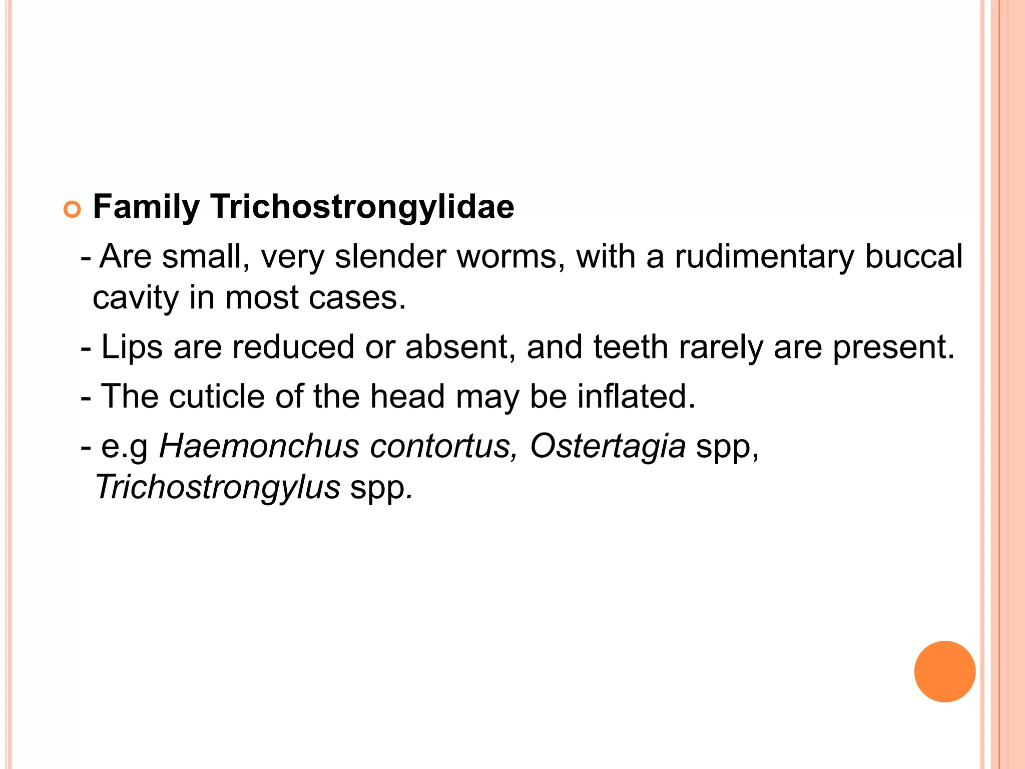 Family Trichostrongylidae
- Are small, very slender worms, with a rudimentary buccal
 cavity in most cases.
- Lips are reduced or absent, and teeth rarely are present.
- The cuticle of the head may be inflated.
- e.g Haemonchus contortus, Ostertagia spp,
 Trichostrongylus spp.
 