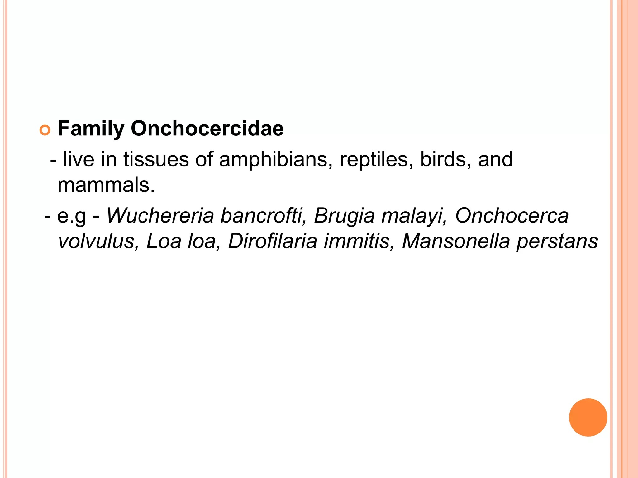  Family Onchocercidae
 - live in tissues of amphibians, reptiles, birds, and
  mammals.
- e.g - Wuchereria bancrofti, Brugia malayi, Onchocerca
  volvulus, Loa loa, Dirofilaria immitis, Mansonella perstans
 