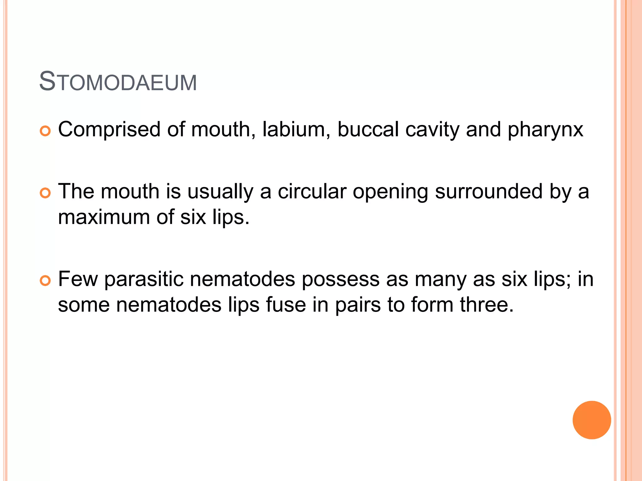STOMODAEUM
   Comprised of mouth, labium, buccal cavity and pharynx

   The mouth is usually a circular opening surrounded by a
    maximum of six lips.

   Few parasitic nematodes possess as many as six lips; in
    some nematodes lips fuse in pairs to form three.
 