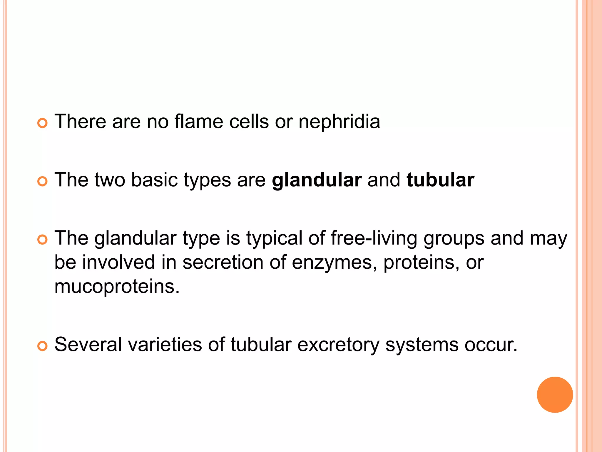    There are no flame cells or nephridia

   The two basic types are glandular and tubular

   The glandular type is typical of free-living groups and may
    be involved in secretion of enzymes, proteins, or
    mucoproteins.

   Several varieties of tubular excretory systems occur.
 
