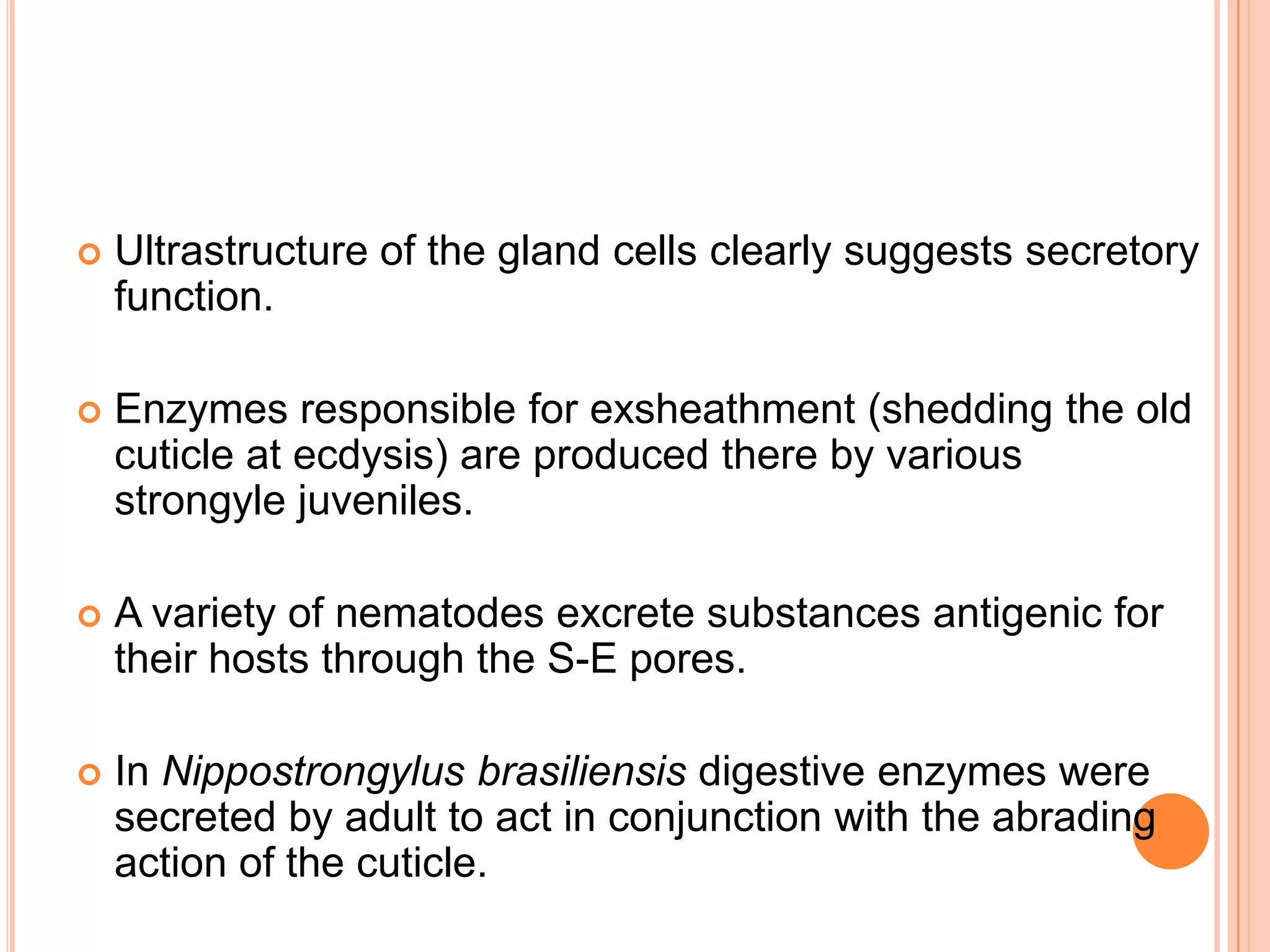    Ultrastructure of the gland cells clearly suggests secretory
    function.

   Enzymes responsible for exsheathment (shedding the old
    cuticle at ecdysis) are produced there by various
    strongyle juveniles.

   A variety of nematodes excrete substances antigenic for
    their hosts through the S-E pores.

   In Nippostrongylus brasiliensis digestive enzymes were
    secreted by adult to act in conjunction with the abrading
    action of the cuticle.
 