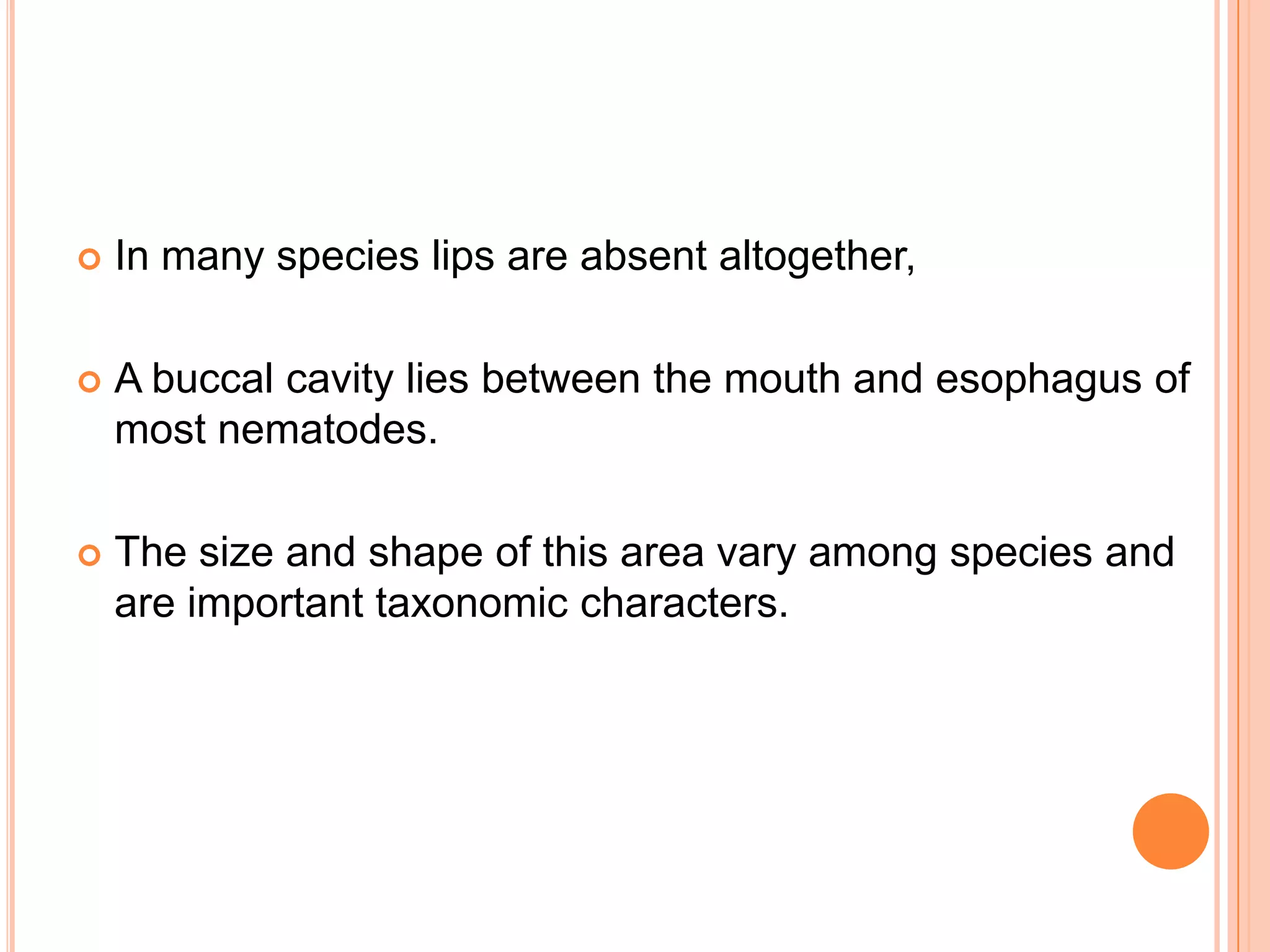    In many species lips are absent altogether,

   A buccal cavity lies between the mouth and esophagus of
    most nematodes.

   The size and shape of this area vary among species and
    are important taxonomic characters.
 